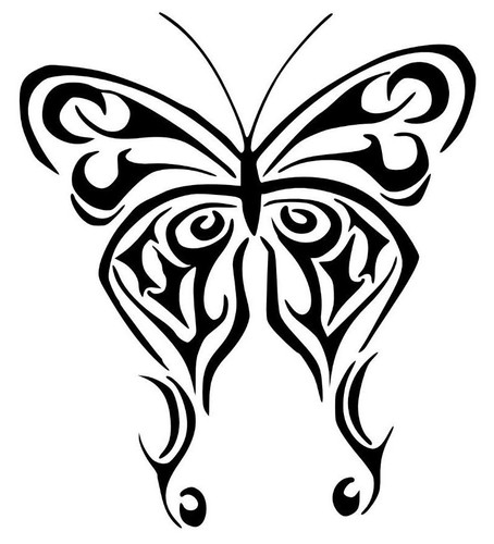 Farfalla stickers adesivo - stickers,