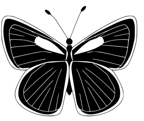 Farfalla stickers adesivo - farfalla,