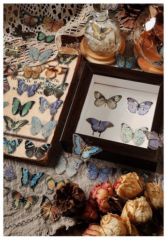 Pezzi adesivi farfalla - pezzi,