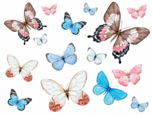 Assortimento farfalle