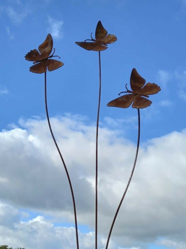 Cuffy scultura farfalla - cuffy's,
